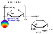 Dextran Sulfate DyLight®, MW 5-500 kDa