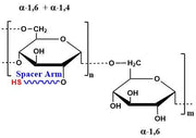 Dextran Thiol 30-50%, MW 5-2000 kDa