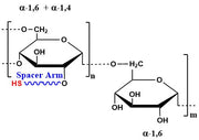 Dextran Thiol, MW 500k