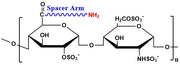 Heparin Amine