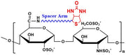 Heparin Biotin, MW 27 kDa