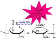 Heparin Rhodamine