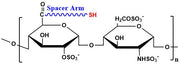 Heparin Thiol