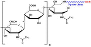 Hyaluronate Mono Azide, MW 50 kDa