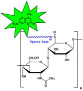 Hyaluronate CyDye, MW 100 kDa