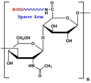 Hyaluronate Azide, MW 2,500 kDa