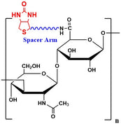 Hyaluronate Biotin, MW 1,000 kDa