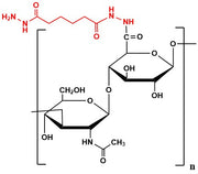 Hyaluronate Hydrazide, MW 100 kDa