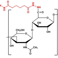 Hyaluronate Hydrazide, MW 10 kDa