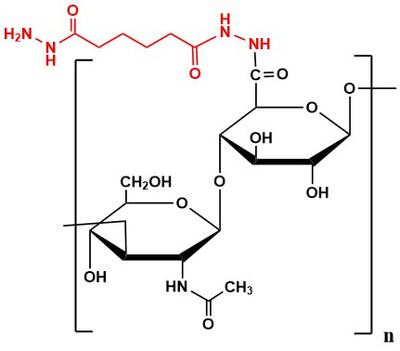 Hyaluronate Hydrazide, MW 750 kDa