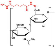 Hyaluronate Hydrazide, MW 500 kDa