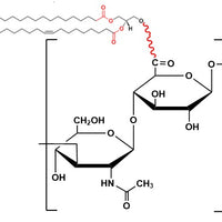 Hyaluronate Lipid, MW 750 kDa