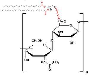 Hyaluronate Lipid, MW 100 kDa
