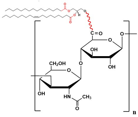 Hyaluronate Lipid, MW 10 kDa