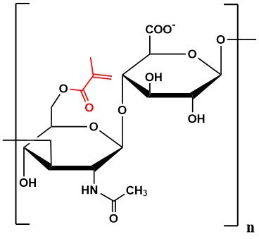 Hyaluronate Methacrylate, MW 10 kDa