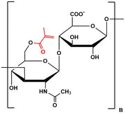 Hyaluronate Methacrylate, MW 500k