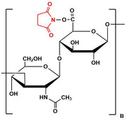 Hyaluronate NHS Ester , MW 1,000 kDa