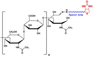Hyaluronate Mono Biotin, MW 1,500 kDa