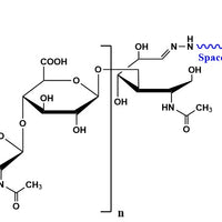 Hyaluronate Mono Biotin, MW 10 kDa