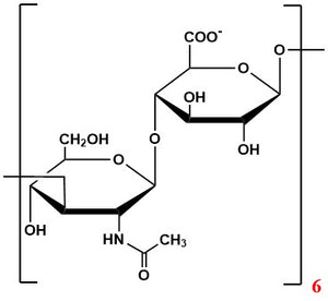 Oligomer HA6