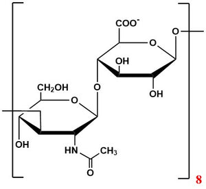 Oligomer HA8