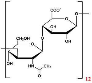 Oligomer HA12